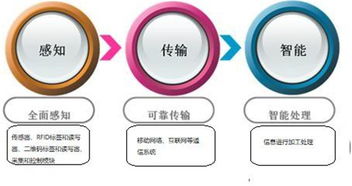 萬物智聯，未來已來 科技巨頭布局下的物聯網發展趨勢與通信系統集成挑戰