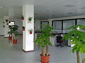 寧波商業(yè)空間裝修指南 辦公室、門(mén)面與店面施工要點(diǎn)解析